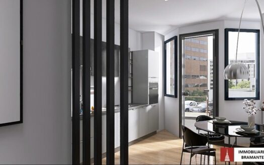 Bilocale Loft Corso Bramante 10