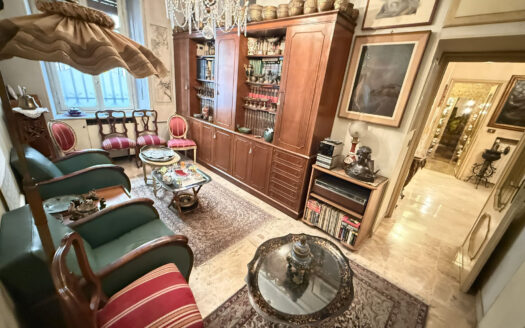 Ampio 5 locali adiacenze Corso Marconi